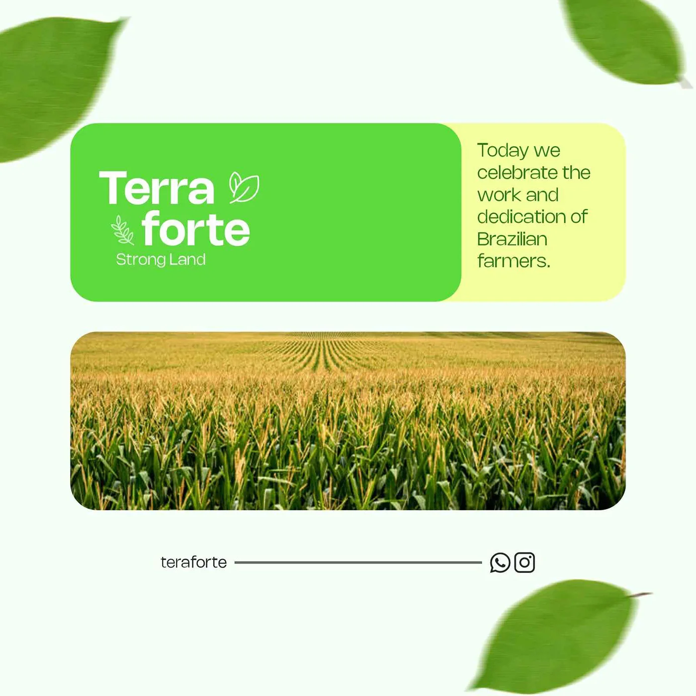 Terra Forte